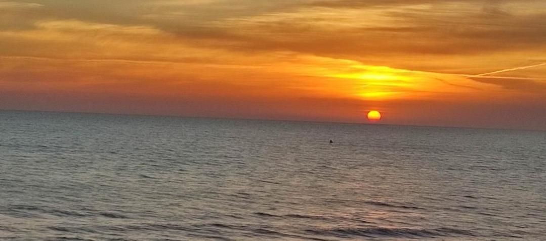 Apartamento Entero Primera Linea De Playa, Pet Friendly Tavernes de Valldigna Dış mekan fotoğraf